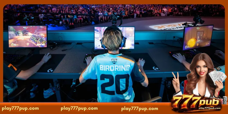 Winning Approaches for Live Esports Streaming Bets